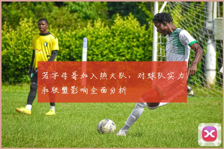 若字母哥加入热火队，对球队实力和联盟影响全面分析