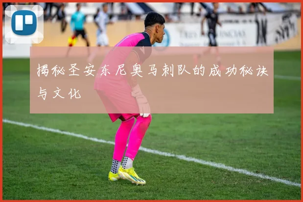 揭秘圣安东尼奥马刺队的成功秘诀与文化